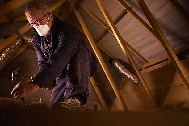 Best Garage Insulation Installation  in Barboursville, WV